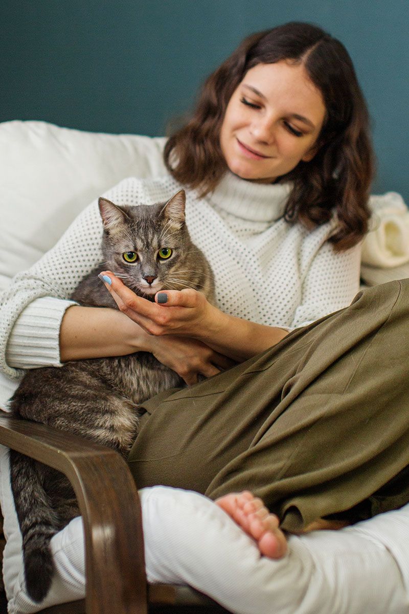 beautiful cat with owner