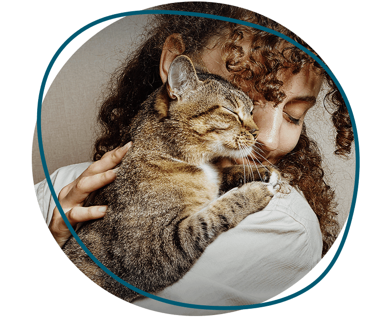 cat hugs his owner