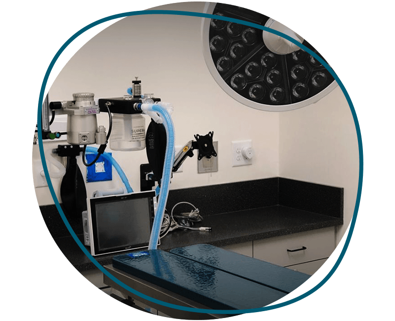 clean led surgery suite